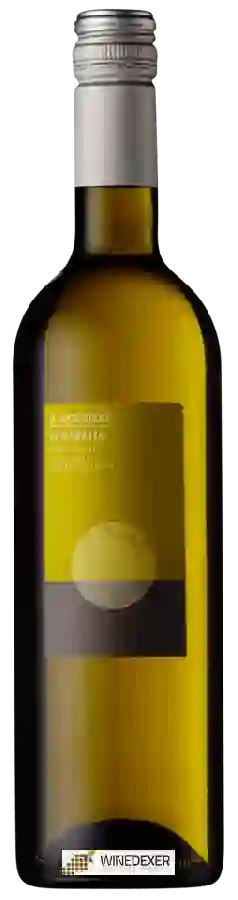 Winery Il Meridione - Catarratto