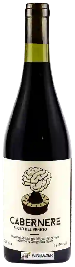 Winery Il Moralizzatore - Cabernere Rosso