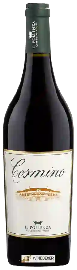 Winery Il Pollenza - Cosmino