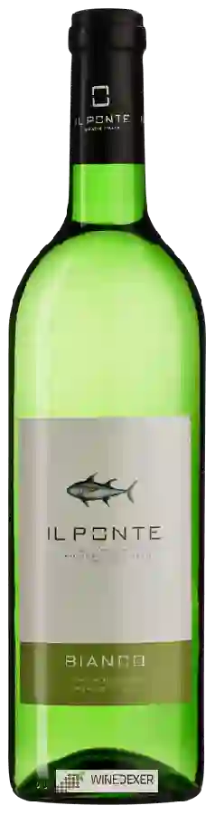 Winery Il Ponte - Bianco