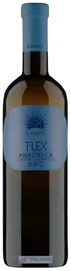 Winery Il Ponte - T-LEX Ansonica