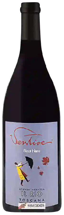 Winery Il Rio - Ventisei Pinot Nero