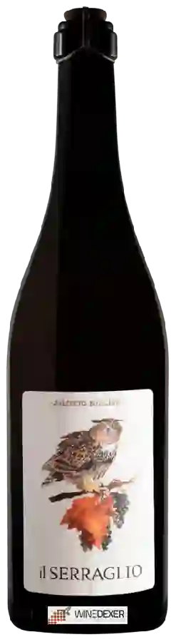 Winery Il Serraglio - Saliceto Buzzalino Lambrusco di Sorbara