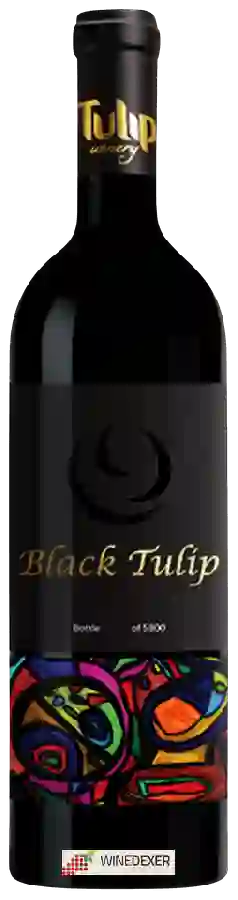 Winery Tulip - Black Tulip