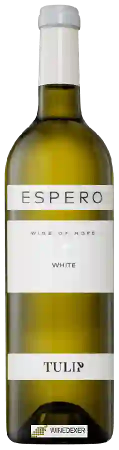 Winery Tulip - Espero White Winery Tulip - Espero White