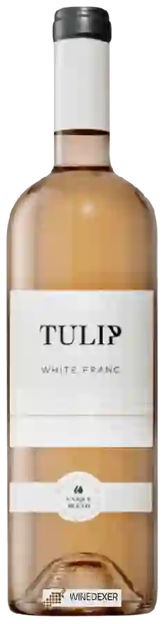 Winery Tulip - White Franc Winery Tulip - White Franc