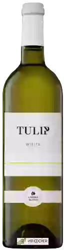 Winery Tulip - White Tulip