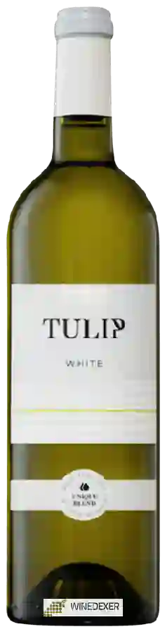 Winery Tulip - White Tulip