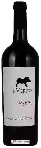 Winery Il Verro - Lautonis Casavecchia