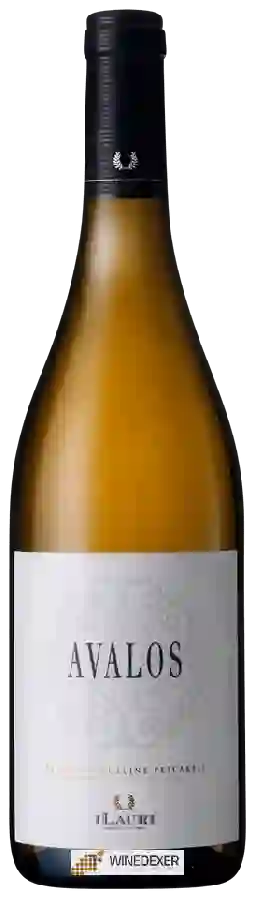 Winery I Lauri - Avalos Pecorino Colline Pescaresi Winery I Lauri - Avalos Pecorino Colline Pescaresi