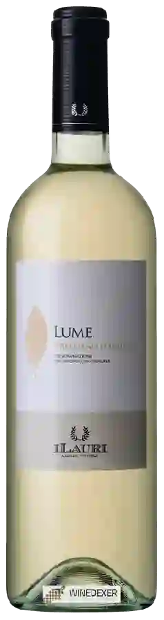 Winery I Lauri - Lume Trebbiano d'Abruzzo