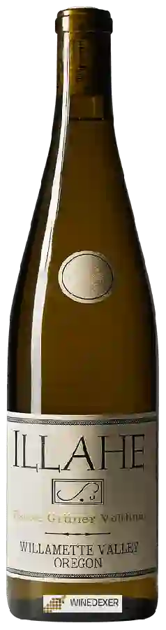 Winery Illahe - Estate Grüner Veltliner Winery Illahe - Estate Grüner Veltliner
