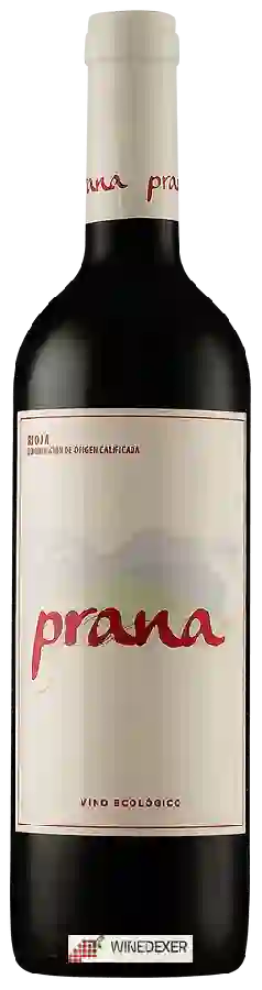 Winery Viña Ilusion - Prana Winery Viña Ilusion - Prana