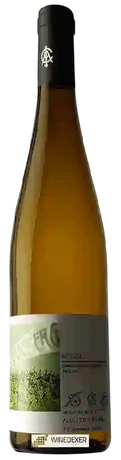 Winery Immich-Batterieberg - Enkircher Batterieberg Riesling