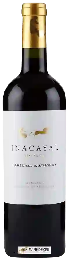 Winery Inacayal - Cabernet Sauvignon Winery Inacayal - Cabernet Sauvignon