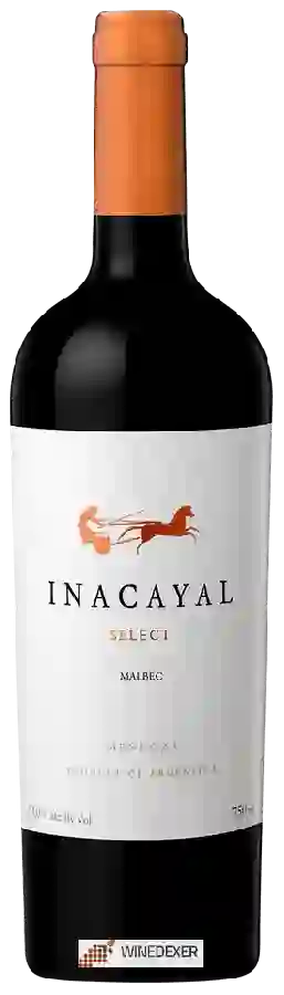 Winery Inacayal - Select Malbec Winery Inacayal - Select Malbec