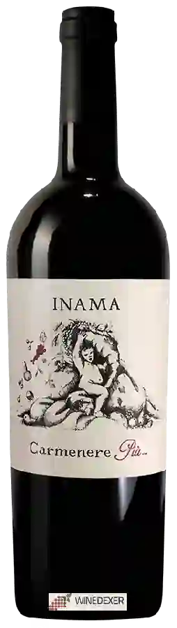 Winery Inama Azienda Agricola - Carmenérè Piu
