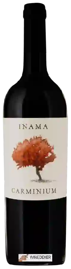 Winery Inama Azienda Agricola - Carminium