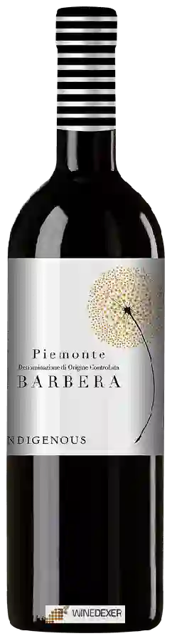 Winery Indigenous - Barbera
