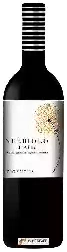 Winery Indigenous - Nebbiolo d'Alba