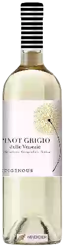 Winery Indigenous - Pinot Grigio