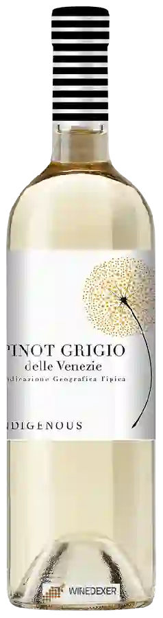 Winery Indigenous - Pinot Grigio