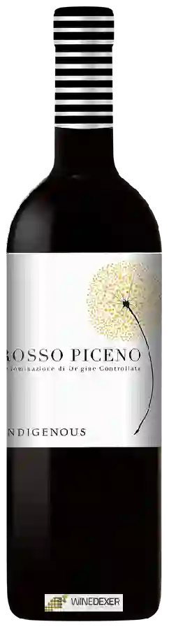 Winery Indigenous - Rosso Piceno