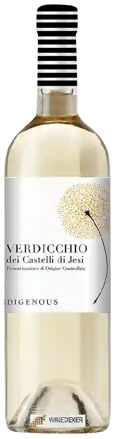 Winery Indigenous - Verdicchio dei Castelli di Jesi