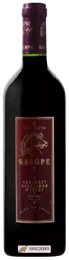 Winery Indomita - Galope Cabernet Sauvignon - Merlot Winery Indomita - Galope Cabernet Sauvignon - Merlot