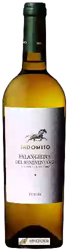 Winery Indomito - Falanghina del Beneventano