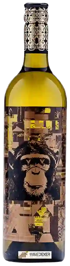 Winery Infinite Monkey Theorem - Sauvignon Blanc