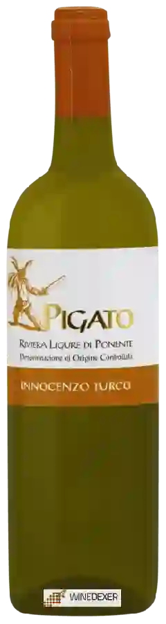 Winery Innocenzo Turco - IL Pigato Winery Innocenzo Turco - IL Pigato
