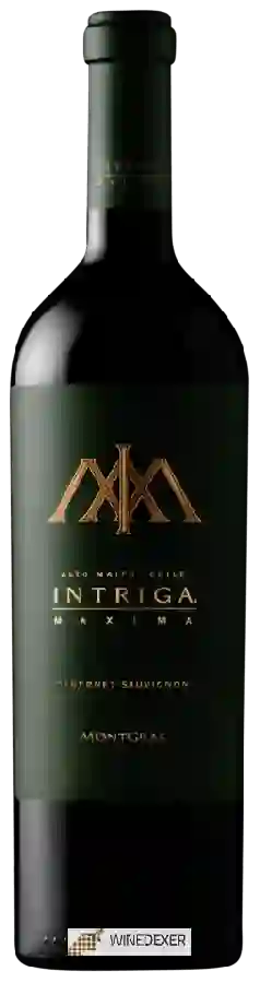 Winery Intriga - Maxima Cabernet Sauvignon Winery Intriga - Maxima Cabernet Sauvignon