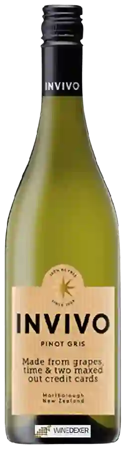 Winery Invivo - Pinot Gris