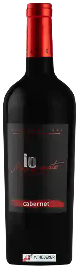 Winery Io Mazzucato - Cabernet