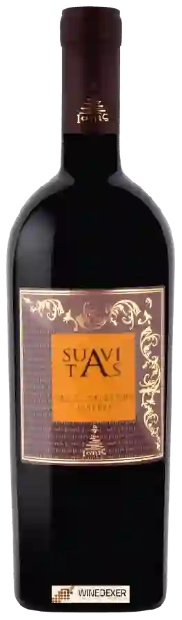 Winery Ioniς (Ionis) - Suavitas Salice Salentino Riserva