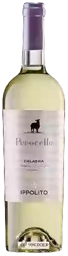 Winery Ippolito 1845 - Pecorello