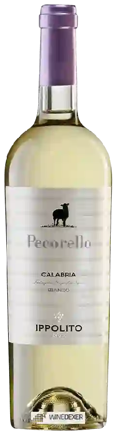 Winery Ippolito 1845 - Pecorello