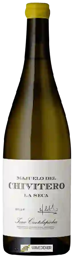 Winery Isaac Cantalapiedra - Majuelo del Chivitero La Seca