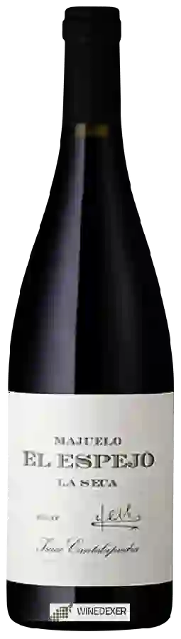 Winery Isaac Cantalapiedra - Majuelo el Espejo La Seca