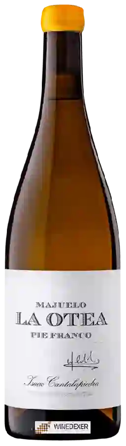 Winery Isaac Cantalapiedra - Majuelo La Otea Pie Franco Winery Isaac Cantalapiedra - Majuelo La Otea Pie Franco