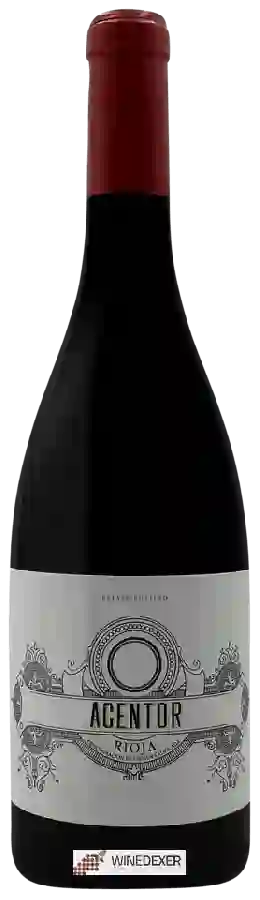 Winery Isaac Fernandez - Acentor Winery Isaac Fernandez - Acentor