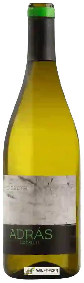 Winery Isaac Fernandez - Adrás Godello