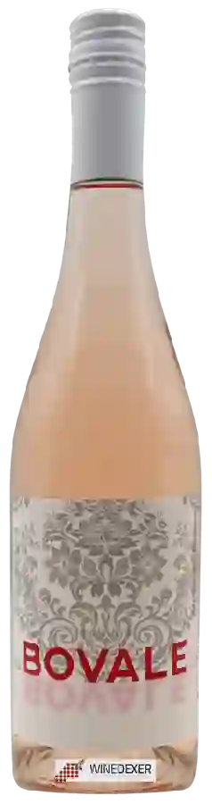 Winery Isaac Fernandez - Bovale Rosado