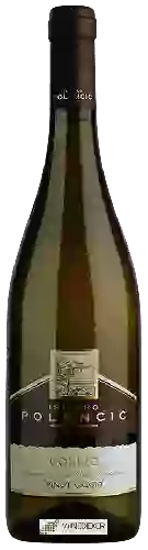 Winery Isidoro Polencic - Pinot Grigio