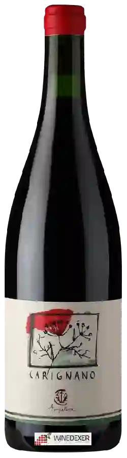 Winery Ampeleia - Carignano Winery Ampeleia - Carignano