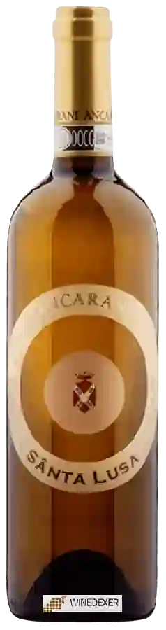 Winery Ancarani - Sânta Lusa Winery Ancarani - Sânta Lusa