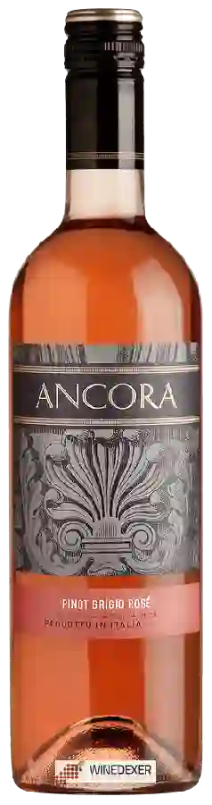 Winery Ancora - Pinot Grigio Rosé Winery Ancora - Pinot Grigio Rosé