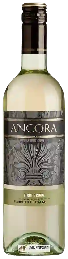Winery Ancora - Pinot Grigio Winery Ancora - Pinot Grigio