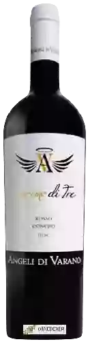 Winery Angeli di Varano - Primo di Tre Rosso Conero